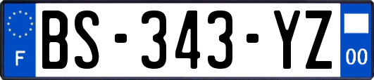 BS-343-YZ