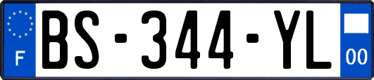 BS-344-YL