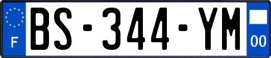 BS-344-YM