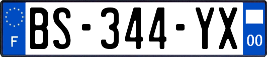 BS-344-YX