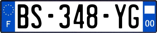 BS-348-YG