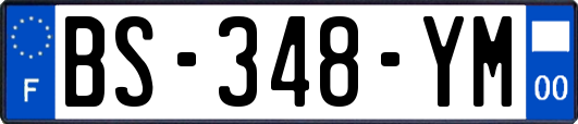 BS-348-YM