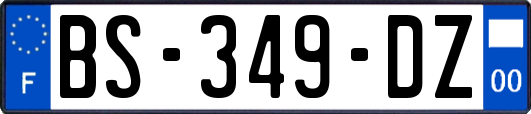 BS-349-DZ