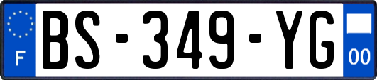 BS-349-YG