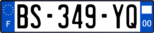 BS-349-YQ