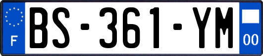 BS-361-YM