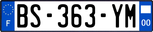 BS-363-YM
