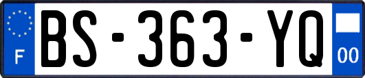 BS-363-YQ