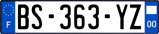 BS-363-YZ
