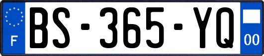 BS-365-YQ