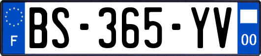 BS-365-YV