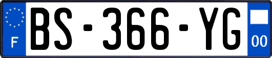 BS-366-YG