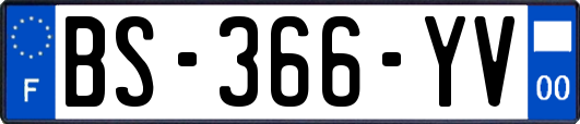 BS-366-YV