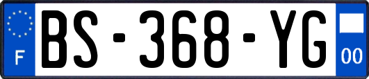 BS-368-YG