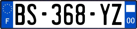 BS-368-YZ