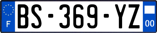 BS-369-YZ