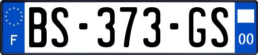 BS-373-GS