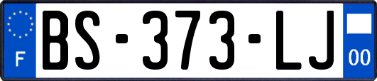 BS-373-LJ