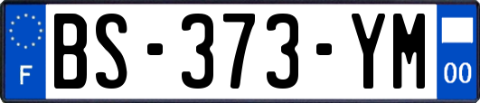 BS-373-YM