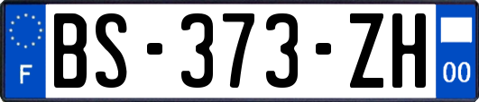 BS-373-ZH