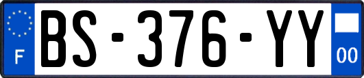 BS-376-YY