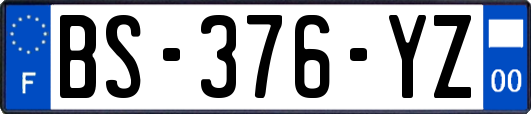 BS-376-YZ