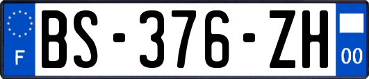 BS-376-ZH