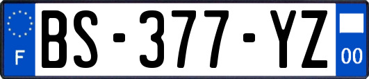 BS-377-YZ