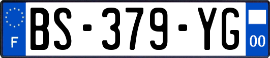 BS-379-YG