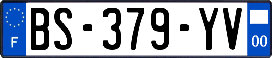 BS-379-YV