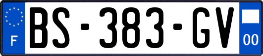 BS-383-GV