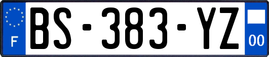 BS-383-YZ