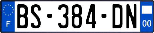 BS-384-DN