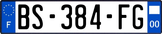 BS-384-FG