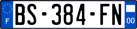 BS-384-FN
