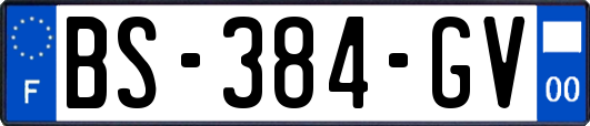 BS-384-GV