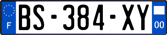 BS-384-XY
