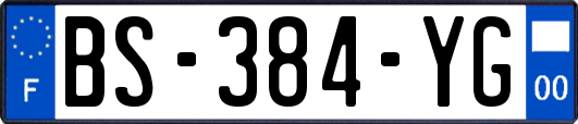 BS-384-YG