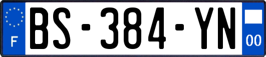 BS-384-YN