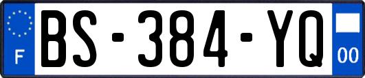 BS-384-YQ