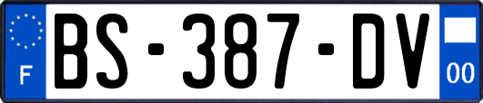 BS-387-DV