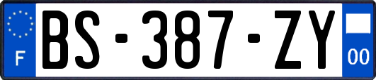 BS-387-ZY