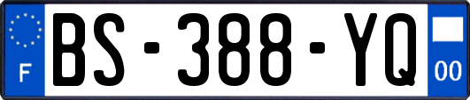 BS-388-YQ