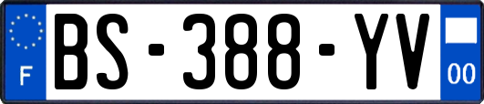 BS-388-YV