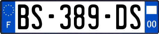 BS-389-DS