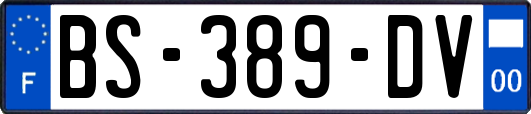 BS-389-DV