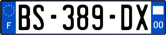 BS-389-DX