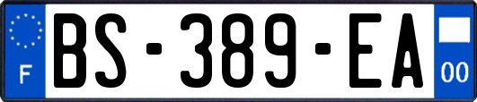 BS-389-EA