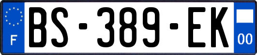 BS-389-EK