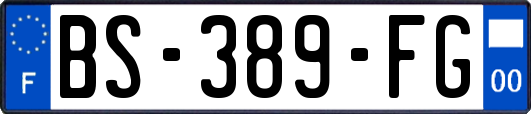 BS-389-FG